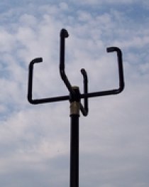 TMS